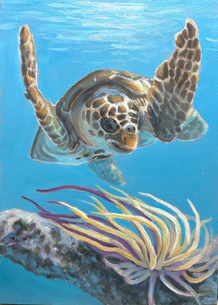 Deborah LaFogg painting "Looking for Lunch" Sea Turtle" Available
