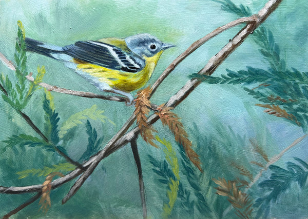 Deborah LaFogg painting "Magnolia- Warbler" New!