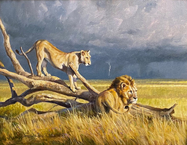 original painting of a lion pair in Africa by Grant Hacking