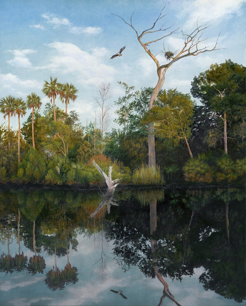 Charles Rowe Giclee "Wacassassa Osprey" Available