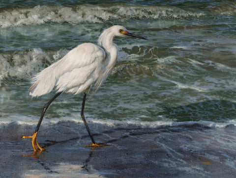 Lynn Wade Giclee "Places to Go" Available Now
