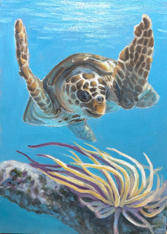 Deborah LaFogg painting "Looking for Lunch" Sea Turtle" Available