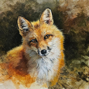 Bonnie Marris Painting "A Friendly Face" New Fox Painting