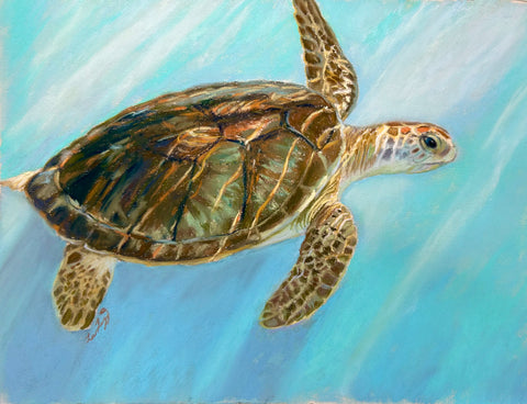 Deborah LaFogg painting "Sunlight, Sea Turtle" Available