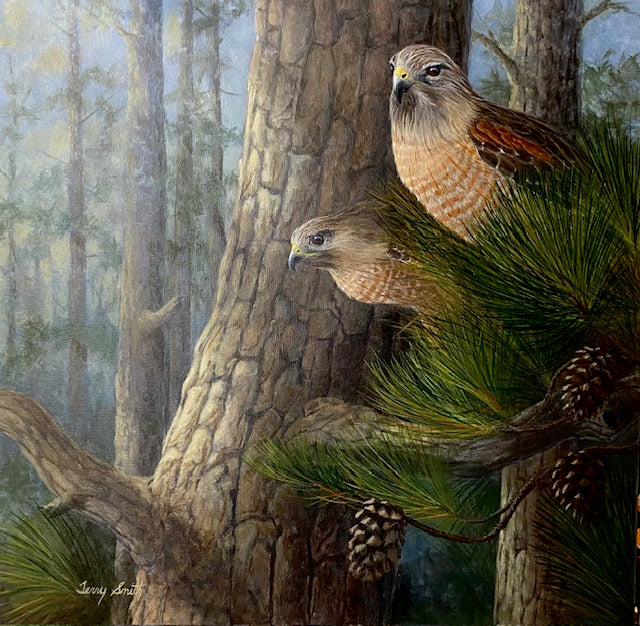 Terry Smith Painting "Hawkeyes" Red Shouldered Hawks