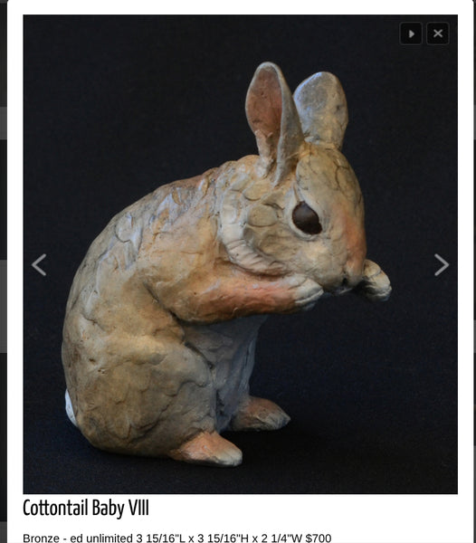 Jim Eppler Bronze  "Cottontail Baby VIII" Available