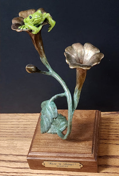 Kim Shaklee Bronze "Rise and Shine" Tree Frog