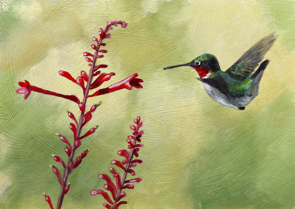 Deborah LaFogg painting "Ruby Red" Hummingbird