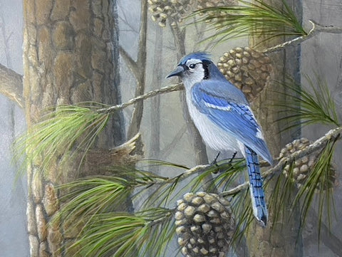 Terry Smith New Painting "Single Blue Jay"