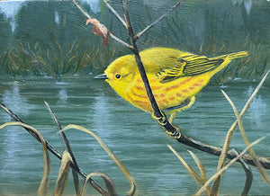 Deborah LaFogg painting "Yellow Warbler" New Oil