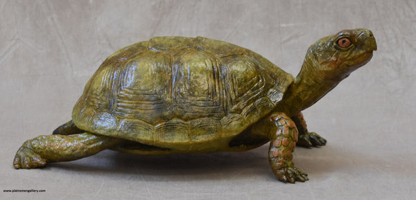 Large Box Turtle Bronze by Jim Eppler