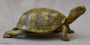 Box Turtle Bronze by Jim Eppler