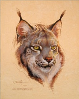 Ezra Tucker painting "Canadian Lynx Portrait"
