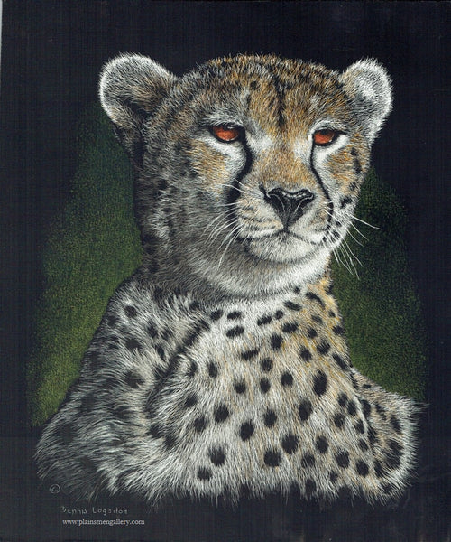 Dennis Logsdon Scratchboard "Cheetah Lookout"