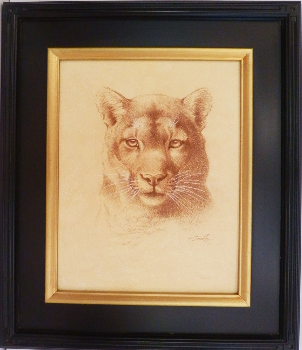 Ezra Tucker painting "Cougar Portrait"