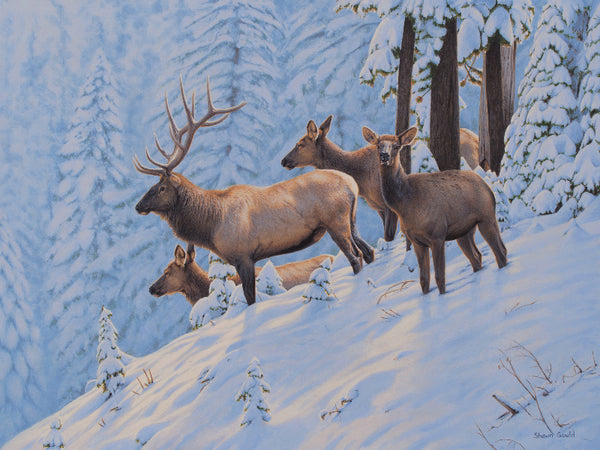 Shawn Gould contemporary painting "Early Snow" Elk