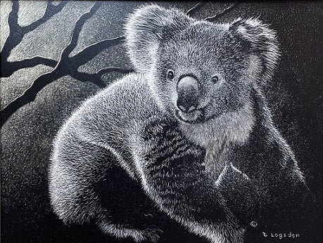 Dennis Logsdon Scratchboard "Koala Sunrise"