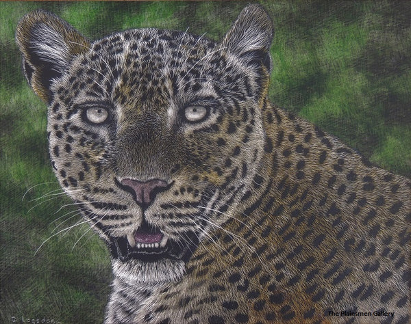 Dennis Logsdon Scratchboard "Leopard Portrait #3"