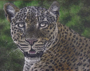 Leopard Portrait by Dennis Logsdon