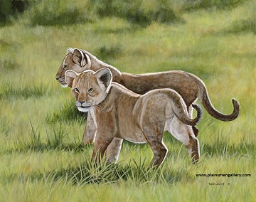 Ed Takacs Painting "Lion Cubs"