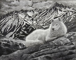 Dennis Logsdon Scratchboard "Caribou Lookout Wolf"