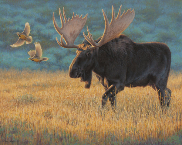 Shawn Gould contemporary painting "Meadow Bull" Moose