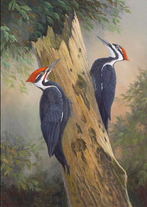 Terry Smith Painting "Pileated Woodpeckers" Original Oil
