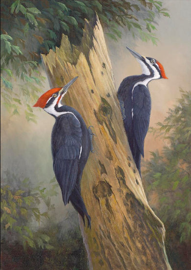 Terry Smith Painting "Pileated Woodpeckers" Original Oil