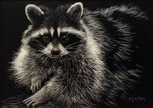 Dennis Logsdon Scratchboard "Rascal- Racoon"