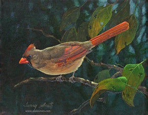 Terry Smith Giclee "Red Lady, Cardinal"