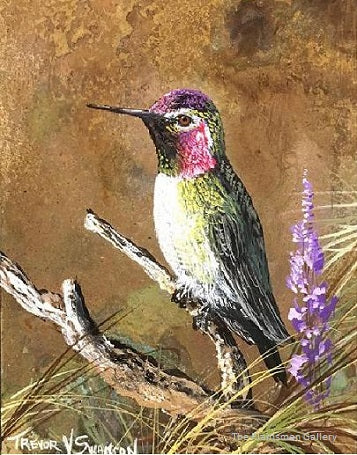 Trevor Swanson Painting "Ruby Throated Hummer"