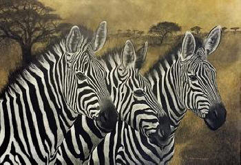 Dennis Logsdon Scratchboard "Serengeti Plainsmen" Zebras