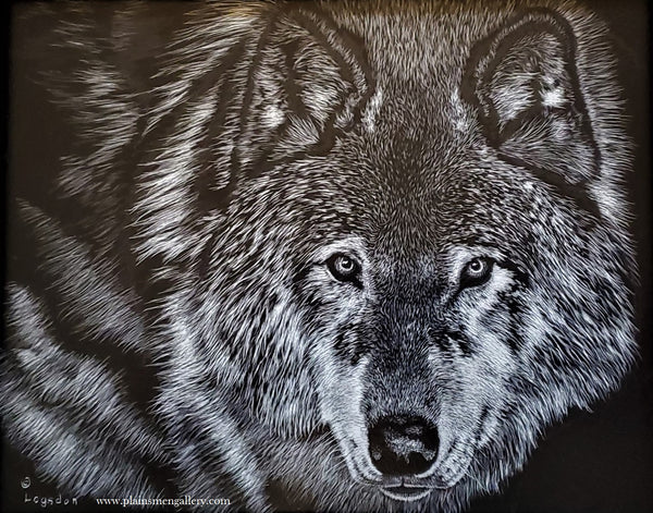 Dennis Logsdon Scratchboard "Stare of the Wolf"