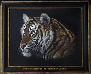 "Sumatran Tiger Study" Original Scratchboard by Dennis Logsdon