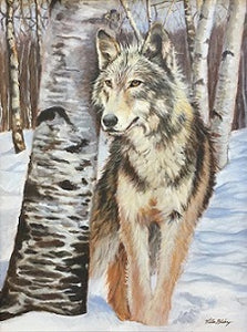 Victor Blakey Painting "Wolf Amidst the Aspens"