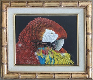 Dennis Logsdon Scratchboard "Scarlet Macaw"